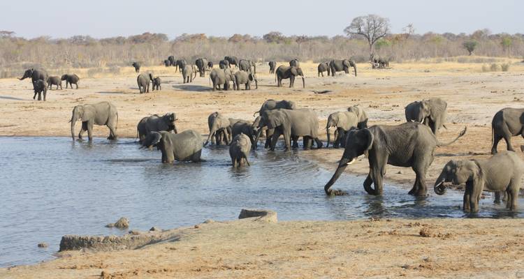 Ruta de caza de Zimbabue y Botsuana - Sunway Safaris 4