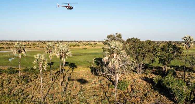 Parques Salvajes de Botsuana (Inicio en Maun) - Sunway Safaris 9