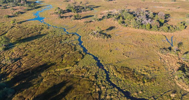 Parques Salvajes de Botsuana (Inicio en Maun) - Sunway Safaris 10