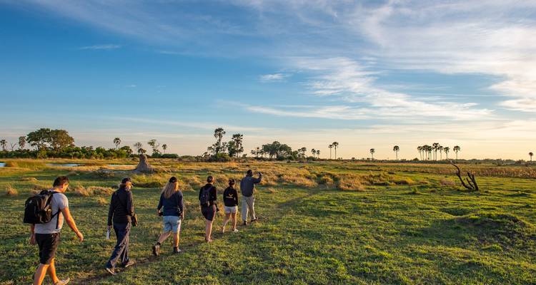 Parques salvajes de Botsuana - Sunway Safaris 4