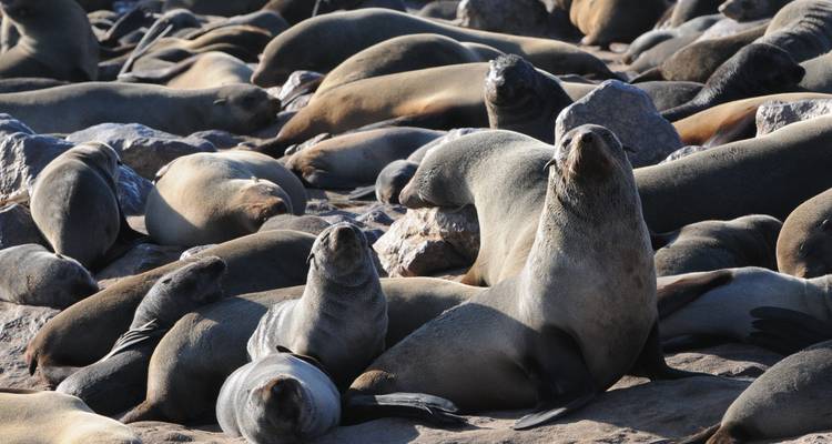 De Cabo a Namibia - Gran Explorador - Sunway Safaris 2