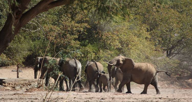 De Cabo a Namibia - Gran Explorador - Sunway Safaris 3