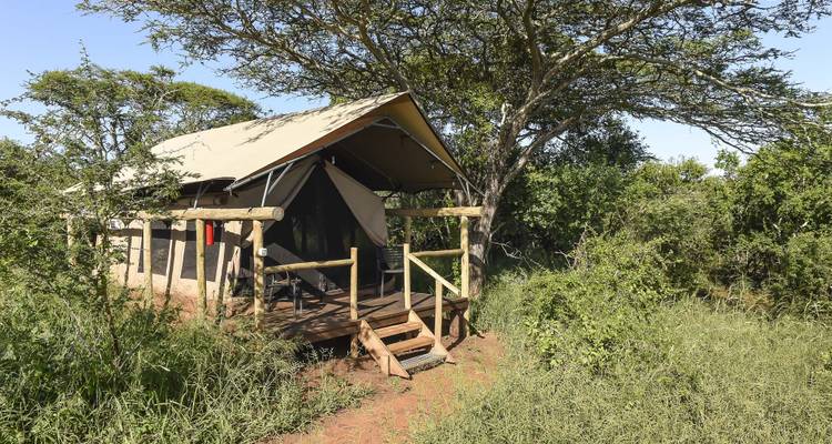 Safari tent in a green, bushy area.