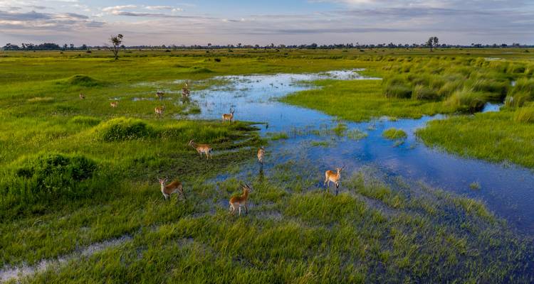 Desierto de Namibia y Caprivi - Sunway Safaris 8