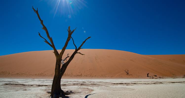 Desierto de Namibia y Caprivi - Sunway Safaris 10