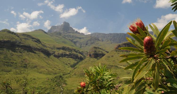 Ruta del Arco Iris de Sudáfrica - Sunway Safaris 7