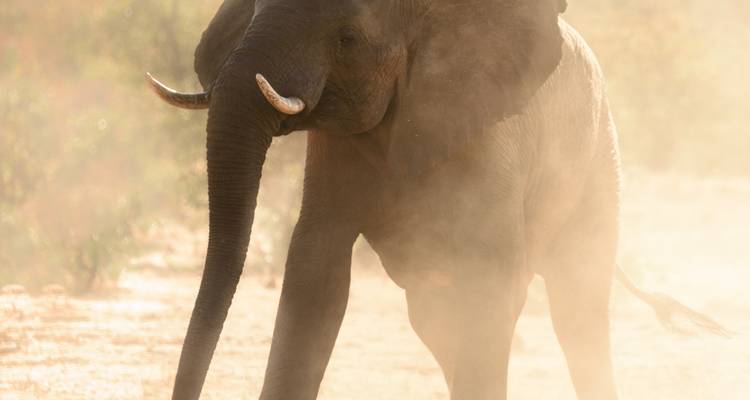Ruta del Arco Iris de Sudáfrica - Sunway Safaris 3