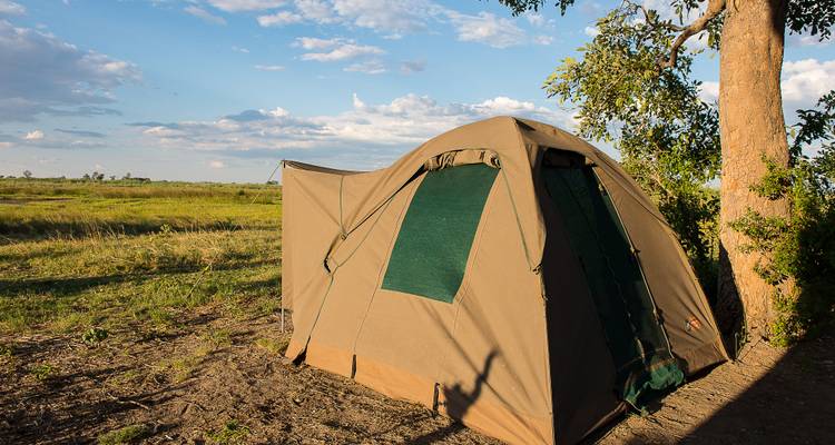 Rastreador de caza en Zimbabue y Botsuana - Sunway Safaris 9