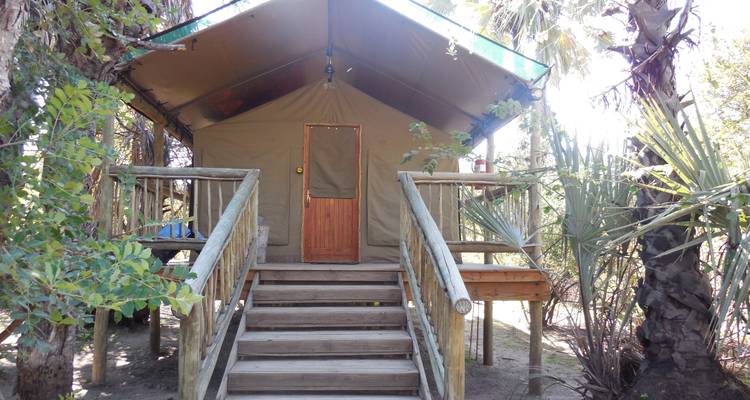 Rastreador de caza en Zimbabue y Botsuana - Sunway Safaris 8