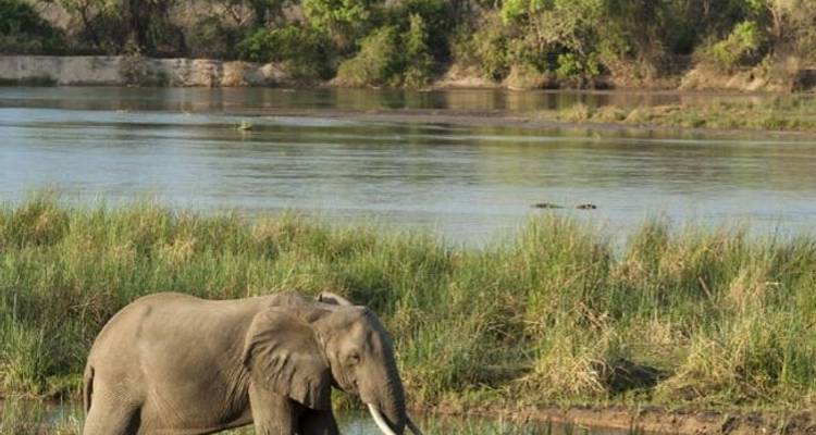 Excursion d'une journée - Parc national du lac Manyara - Sed Adventures Tours and Safaris 3