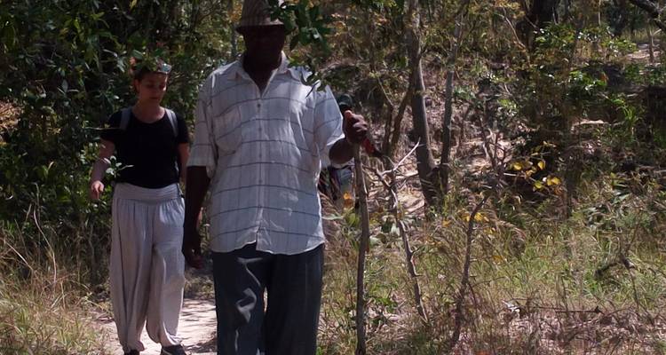 Two people walking on a trail surrounded by trees.