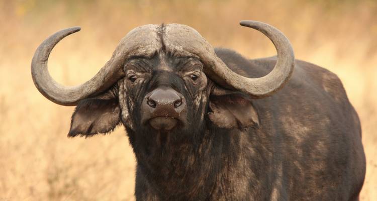 Day Trip - Arusha National Park - Sed Adventures Tours and Safaris 2