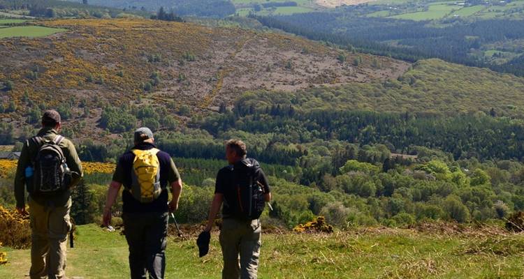 Le chemin de Wicklow : Autoguidé 4 jours - Hilltoptreks 6