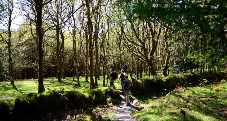 Le chemin de Wicklow : Autoguidé 4 jours - Hilltoptreks 7