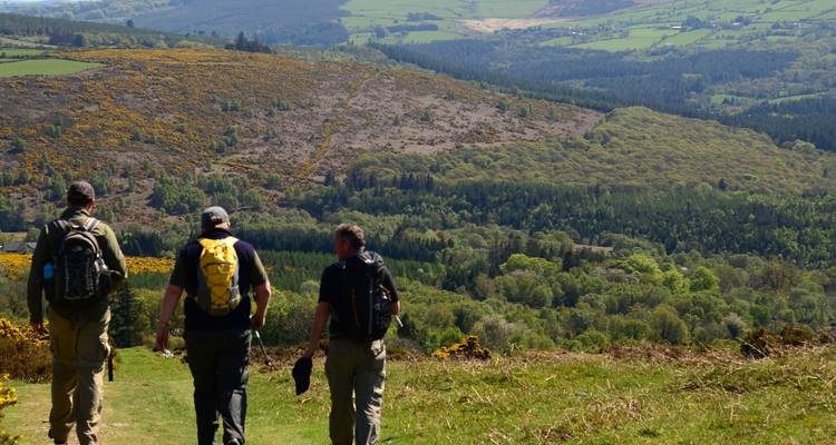 The Wicklow Way: Self Guided 5 Day - Hilltoptreks 6