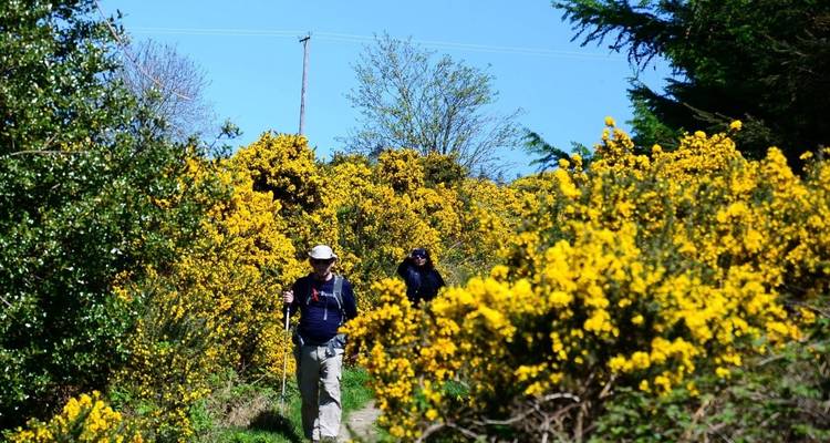 The Wicklow Way: Self Guided 5 Day - Hilltoptreks 7
