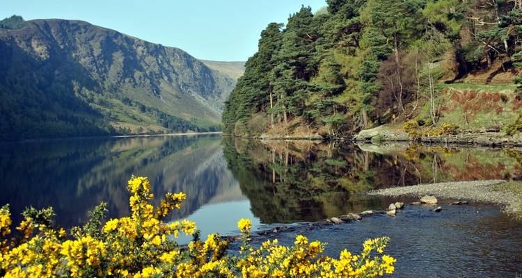 Le chemin de Wicklow : 8 jours autoguidés - Hilltoptreks 3