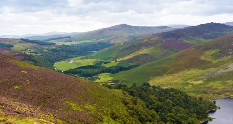 Le chemin de Wicklow : 8 jours autoguidés - Hilltoptreks 2