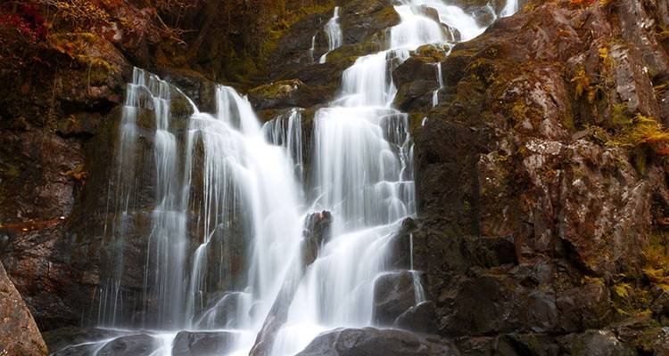 Waterfall cascading over rocks in a forested area.
