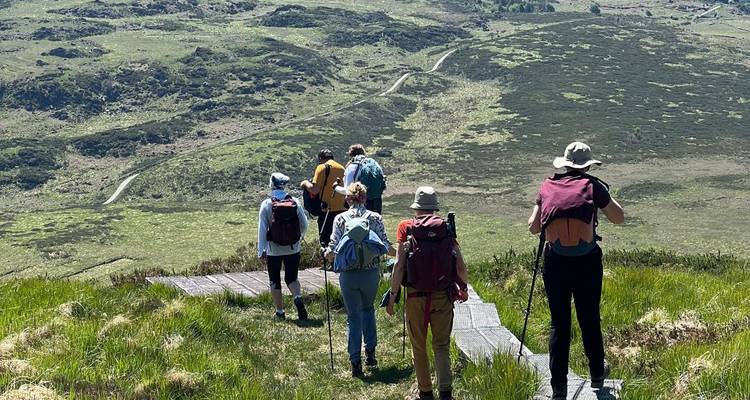 Circuit de 7 jours dans le sud et l'ouest de l'Irlande - Hilltoptreks 8