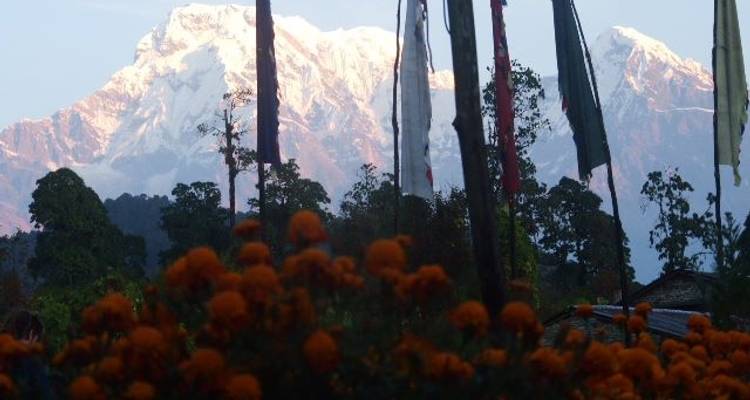 Ghorepani - Poon Hill Trek dans la région de l'Annapurna - 6 jours - Nepal Hiking Pvt. Ltd. 4
