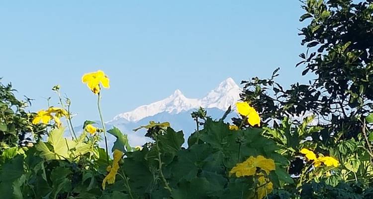 4 días experimentando la vida rural en Jyamrung - Nepal Hiking Pvt. Ltd. 9