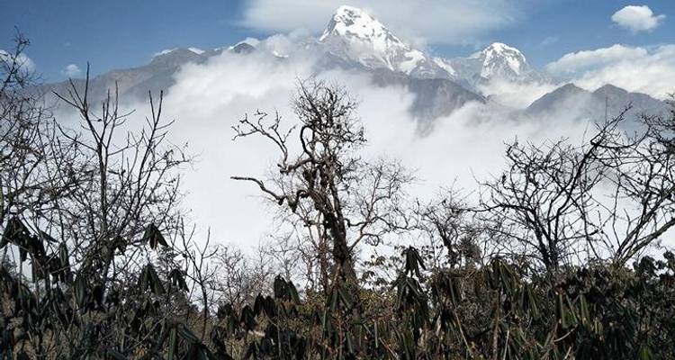 15 days Dhaulagiri Circuit Trek with 2 High Passes - Nepal Hiking Pvt. Ltd. 6