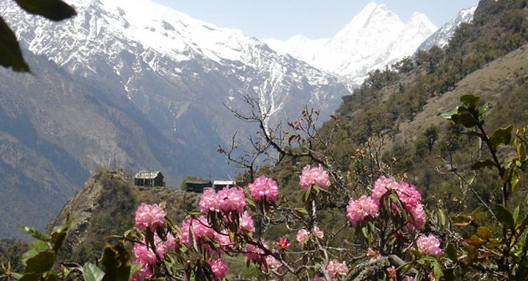 8 days Discover Langtang Valley with Tserko Ri Hiking - Nepal Hiking Pvt. Ltd. 7