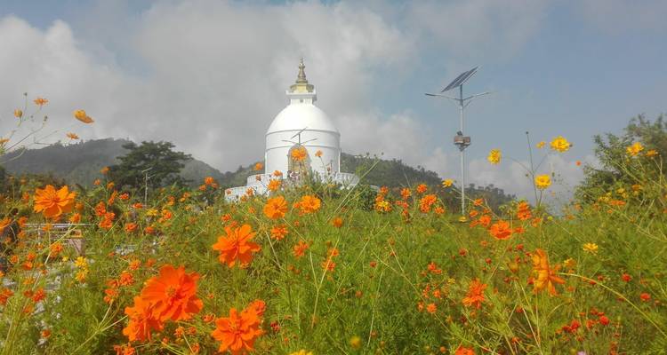 Circuit de luxe au Népal - Katmandou, Pokhara et Chitwan - Nepal Hiking Pvt. Ltd. 2