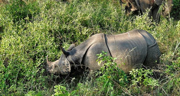 Chitwan National Park - Nepal Hiking Team 10