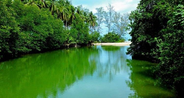 Best of Cambodia: Phnom Penh to Siem Reap 5-Day Tour - Legend Travel Group 7