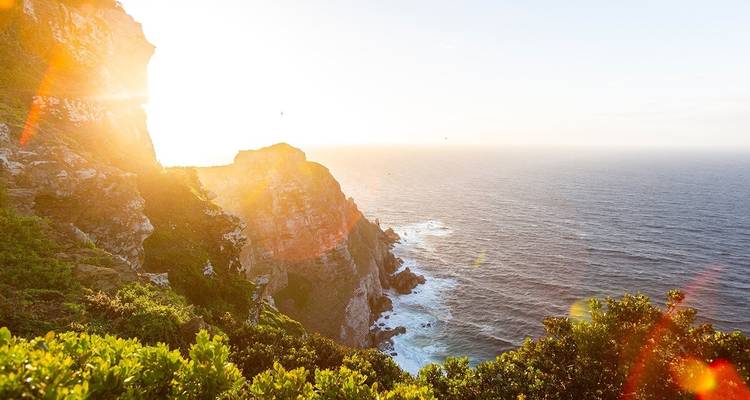 Combo de 7 días ruta del Jardín, Cape Point y Winelands - Hotspots2c 9