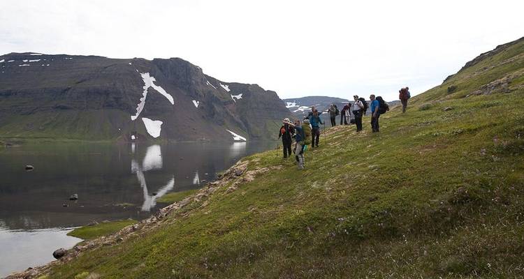 Hornvík Heights and Sights (from Isafjordur to Reykjavik) - Borea Adventures 6