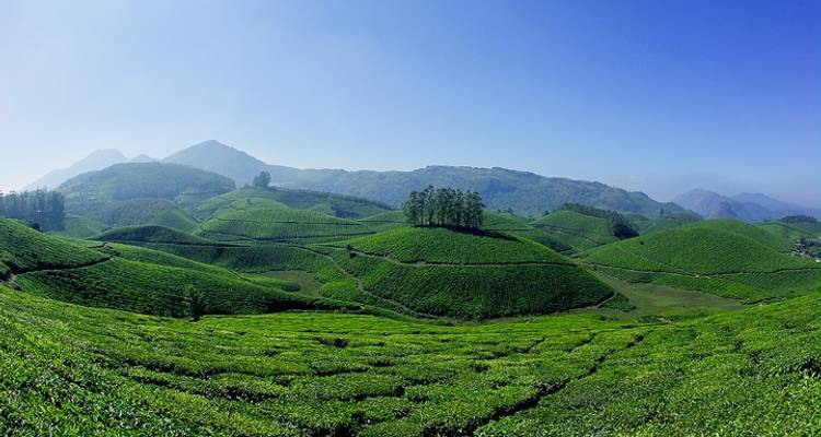 El espiritual Tamilnadu con el encantador Kerala - GeTS Holidays 9