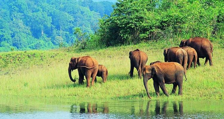 El espiritual Tamilnadu con el encantador Kerala - GeTS Holidays 8