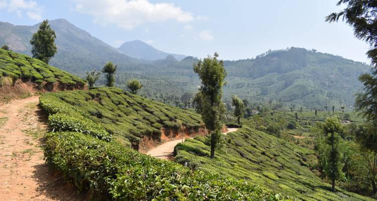 Best of Kerala - GeTS Holidays 3