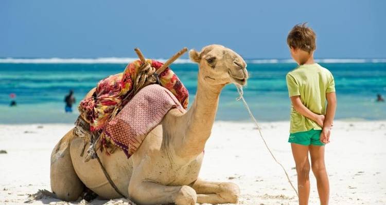Egyptian Family Adventure - Encounters Travel 1