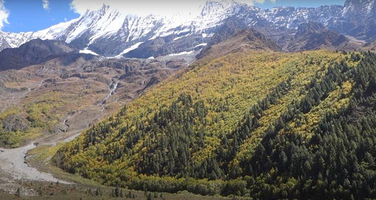 Paysage de montagne avec des pentes boisées sous un ciel dégagé.