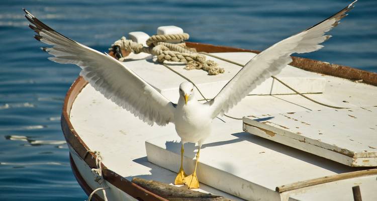 Croatian National Parks Sailing Holidays (Private tour) - Frontier Adriatic 6