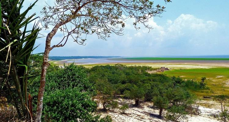 Iquitos Amazon Jungle Adventure 4D/3N - Bamba Travel 2