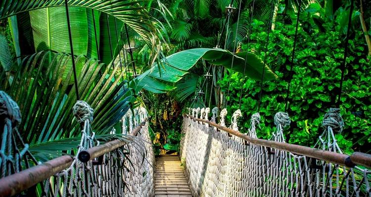 Iquitos Amazon Jungle Adventure 4D/3N - Bamba Travel 3