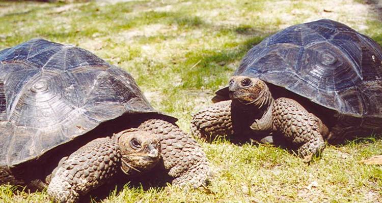 Ultimate Galapagos - 10 jours - On The Go Tours 1