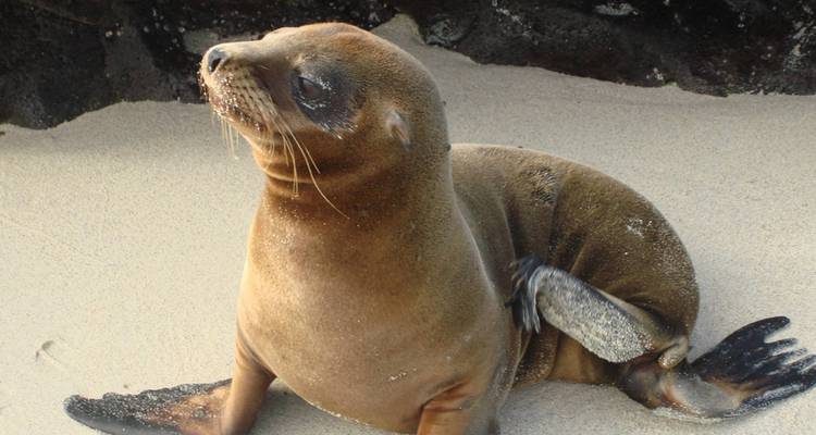 Ultimate Galapagos - 10 jours - On The Go Tours 3
