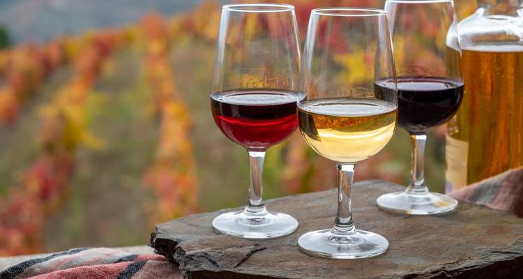 Three glasses of red, white and rosé wine stand on a stone ledge overlooking colorful autumn vineyards in the Douro Valley.