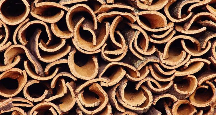 Close-up pattern of stacked cork bark pieces showing natural textures and curves.