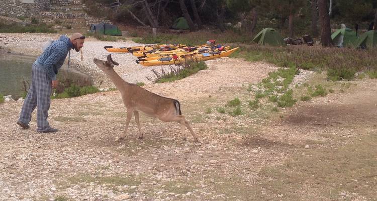 Around Rab Sea Kayaking Adventure - Frontier Adriatic 7
