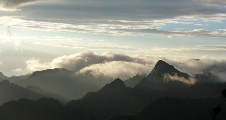 Mount Kilimanjaro Machame Route - Viva Africa Tours 6
