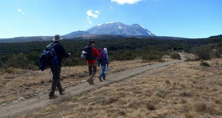 Mont Kilimandjaro Route Rongai - Viva Africa Tours 4