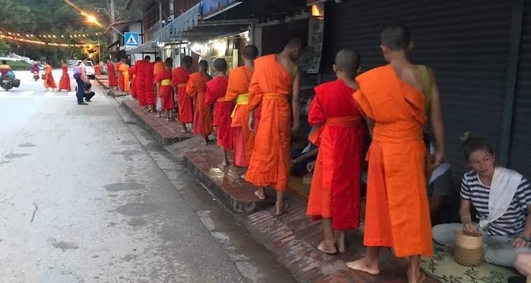 Norte de Laos: Conservación de la fauna, Permacultura y Práctica de Meditación con Monjes - GIVE Volunteers 9
