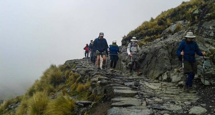 Camino del Choro 3D/2N - Bamba Travel 3